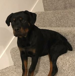 Meet your Posher, Donte